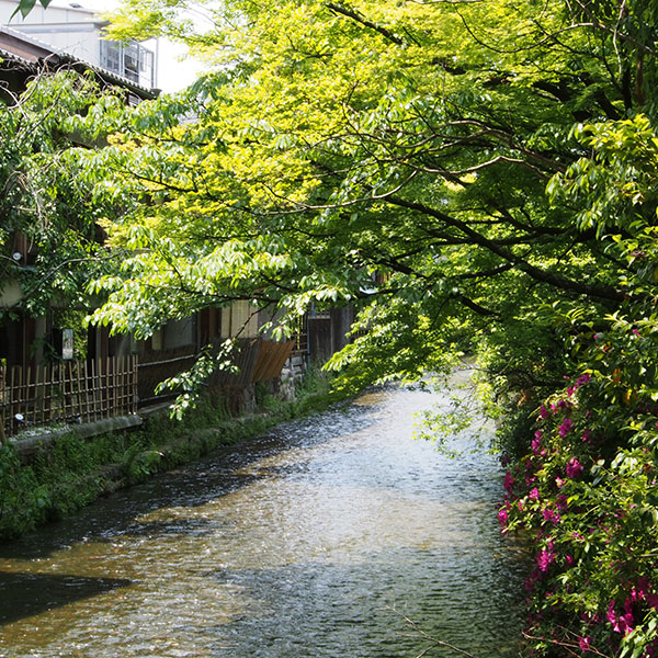 Shirakawa