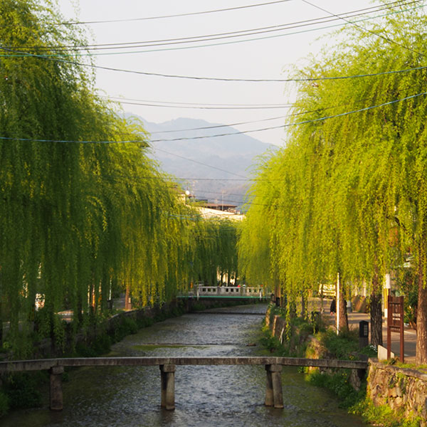 shirakawa