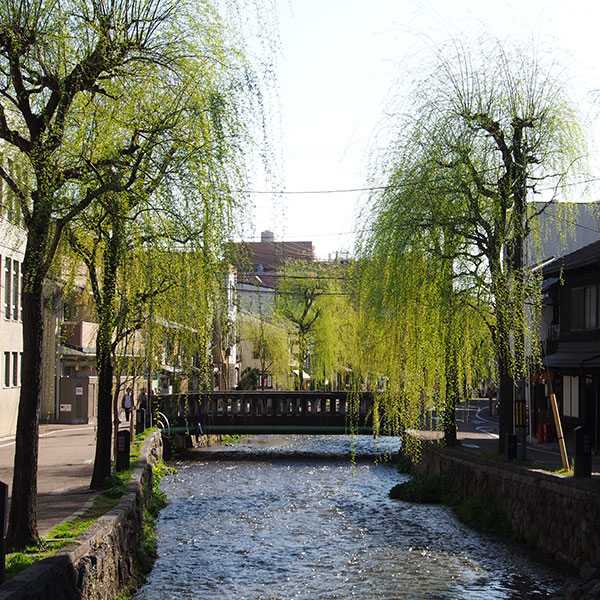 shirakawa