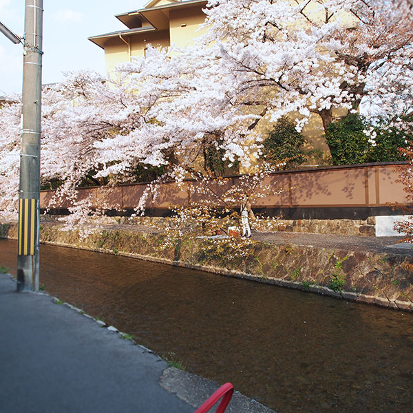 shirakawa